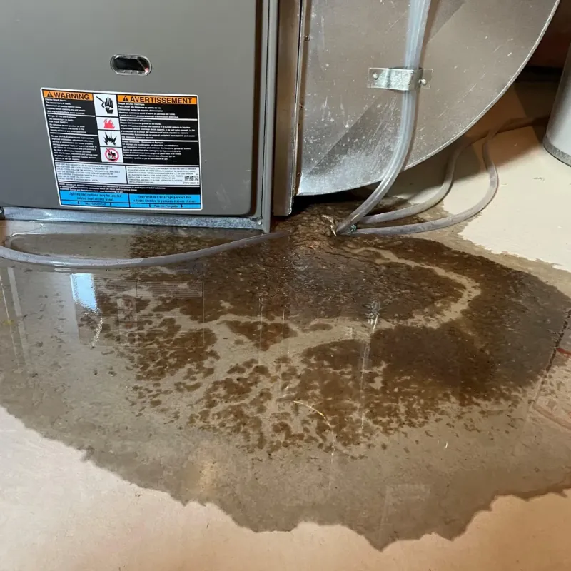 Appliance Leak Cleanup in Level Plains, AL